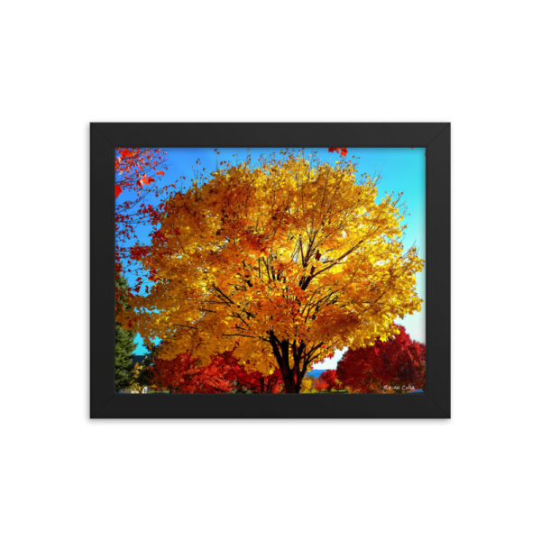 Pumpkin Tree - Framed photo paper poster - Image 2